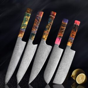 5-piece Damascus knife set with stainless steel blades and ergonomic wood handles, including Gyuto, Kiritsuke, Butcher, Santoku, and Nakiri knives