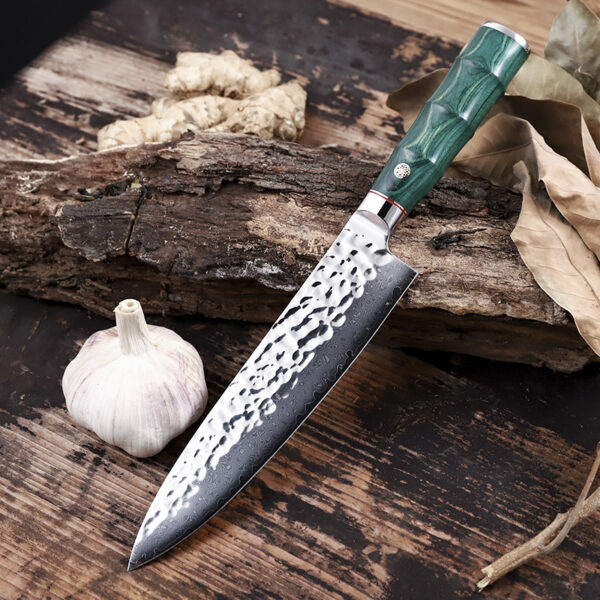 Sharp and durable 20cm blade Gyoto chef’s knife with a comfortable coloured wood handle